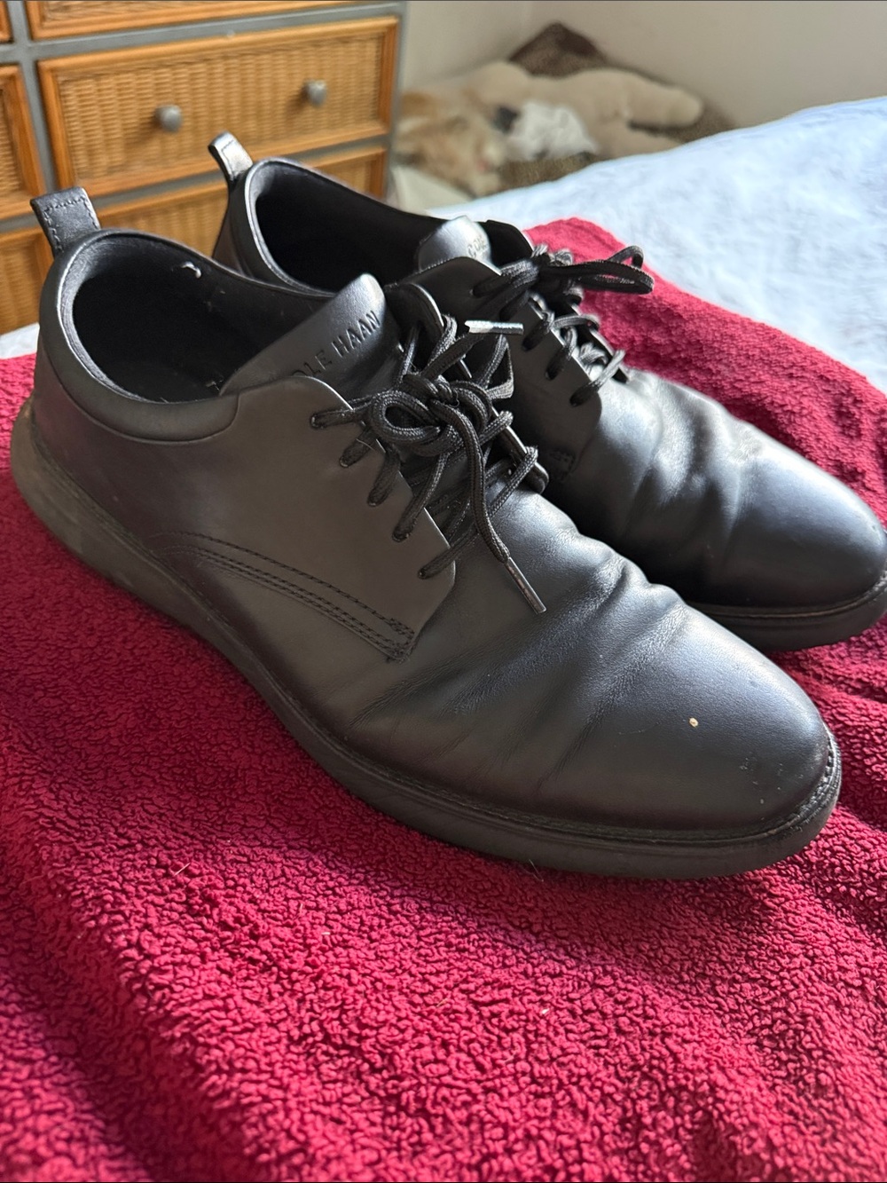 Cole Haan Men's Black Leather Lace-Up Dress Sneakers